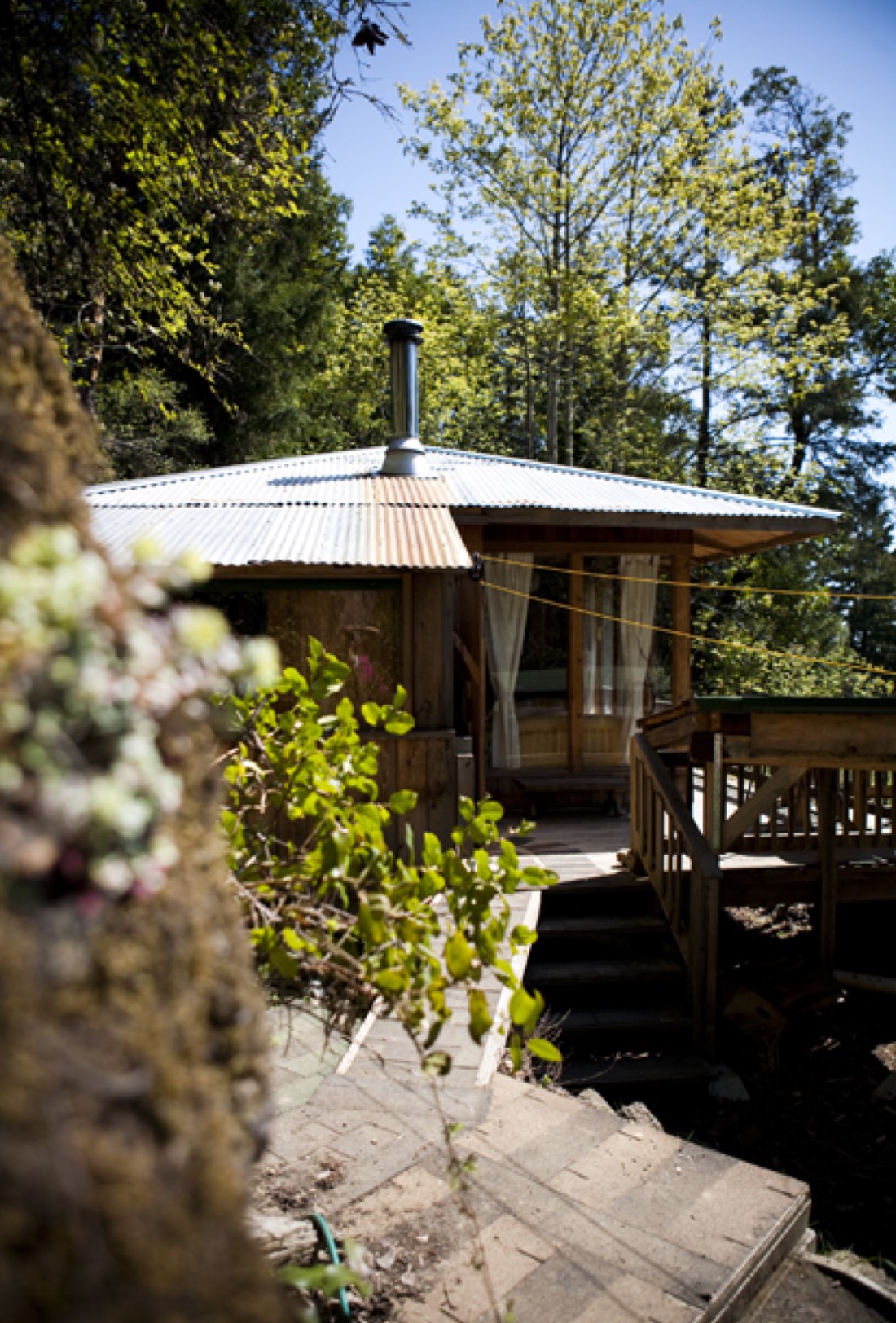 The deck in the trees — morning coffee spot