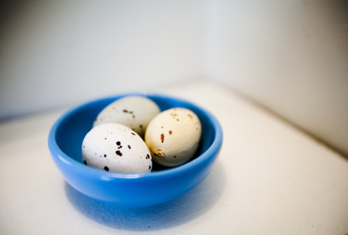 A little nest of our own — the bowl that started the name