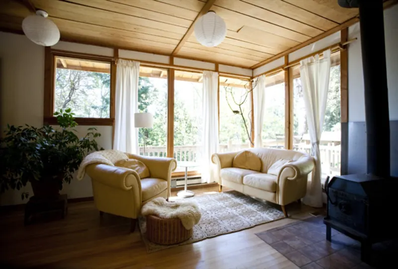 Bright living room with big forest-view windows